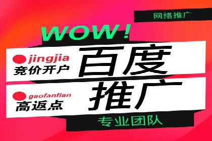 百度推广收费标准揭秘：成功案例分享