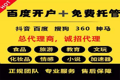 某行业sem代运营推广公司成功案例分析